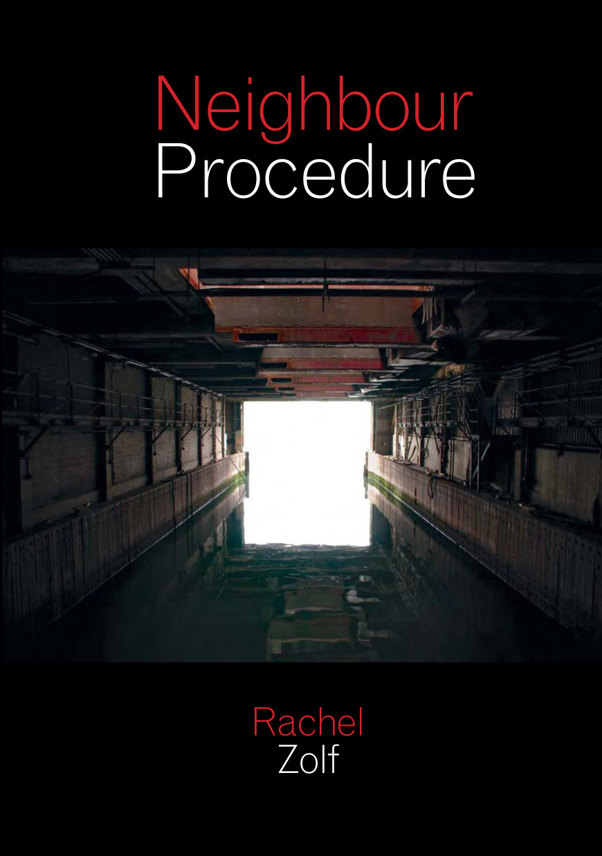 Rachel Zolf, Neighbor Procedure